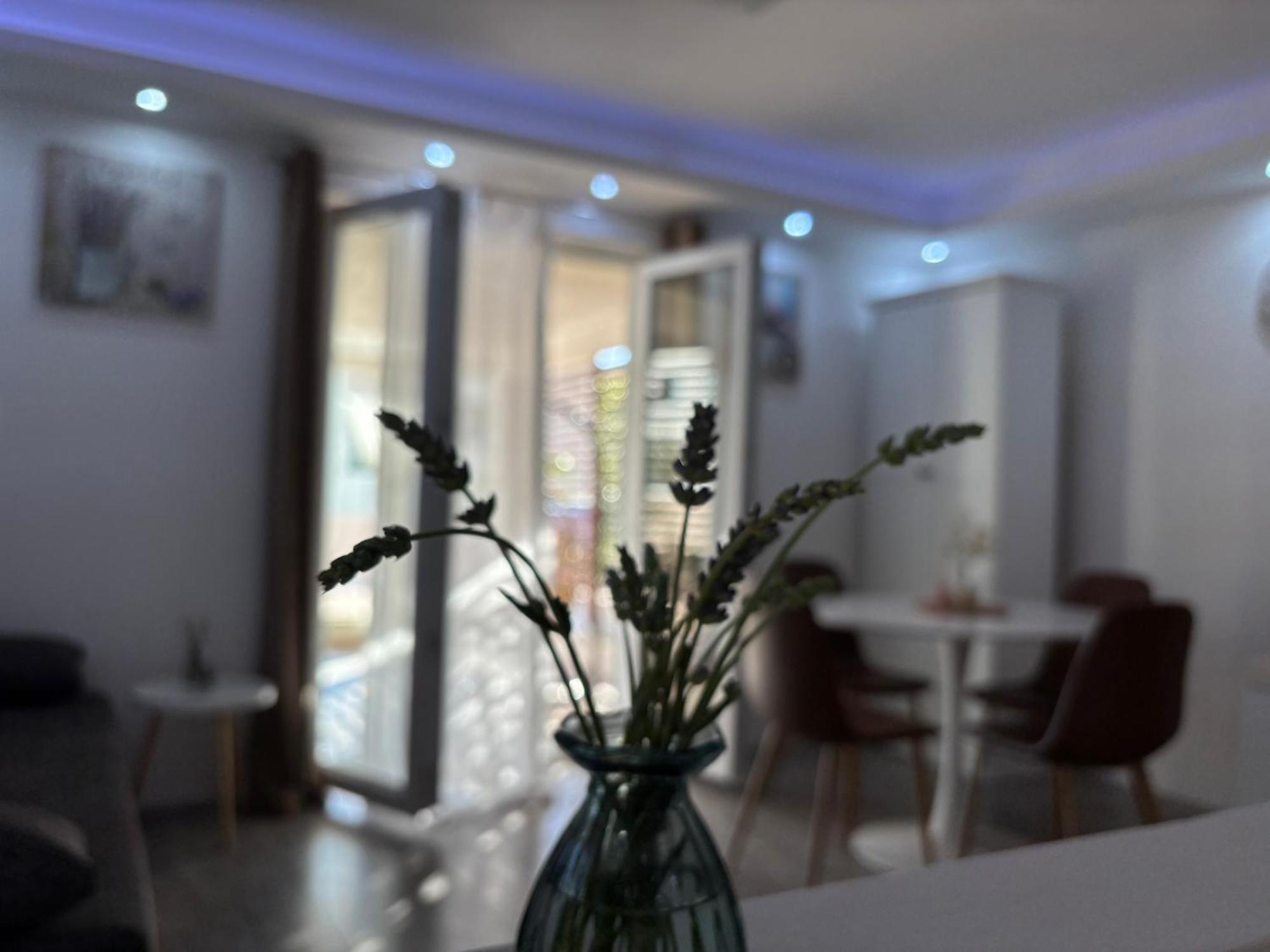 Luxury Apartman Nr Šibenik Exterior foto